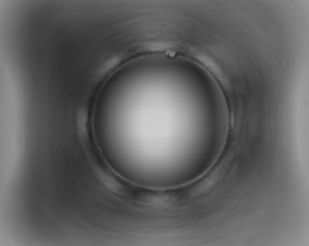 X0000114400201200910231116