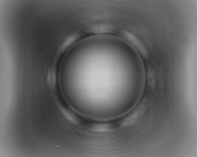 X0000114400202200910231116