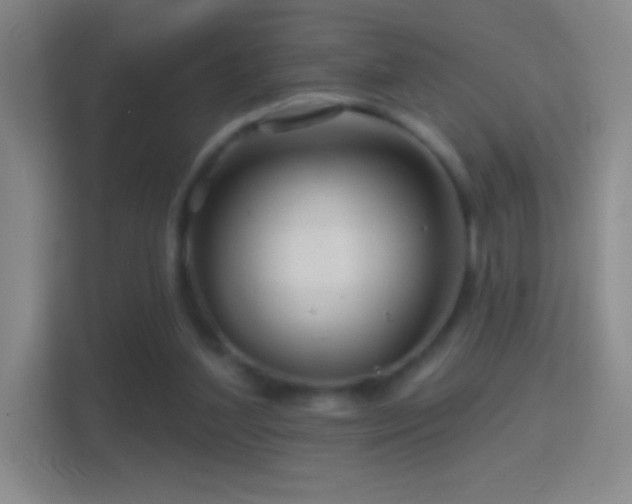 X0000114400204200910231116