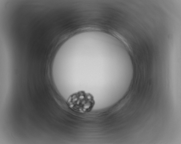 X0000114400205200910231116