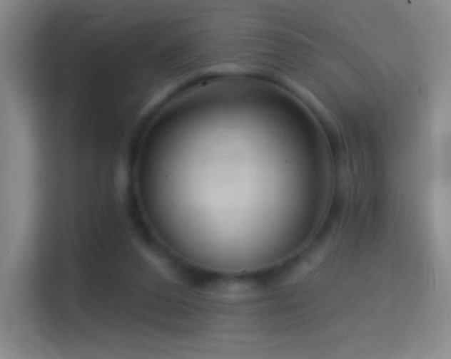 X0000114400208200910231116