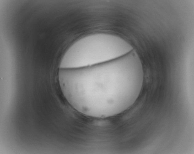 X0000114400210200910231116