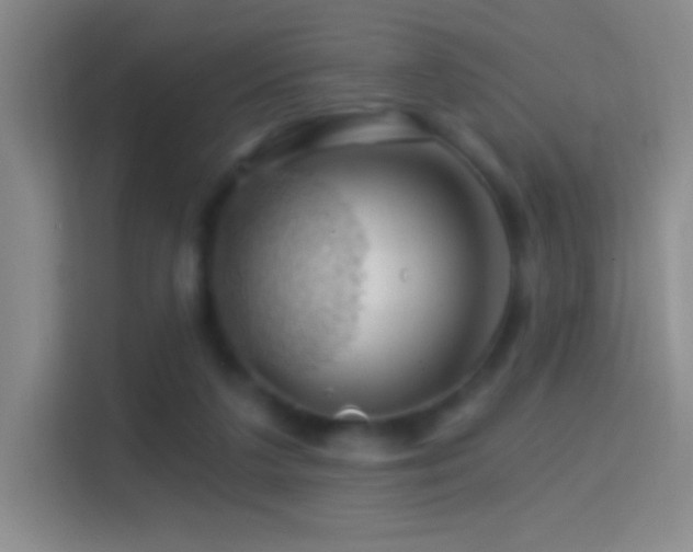 X0000114400211200910231116