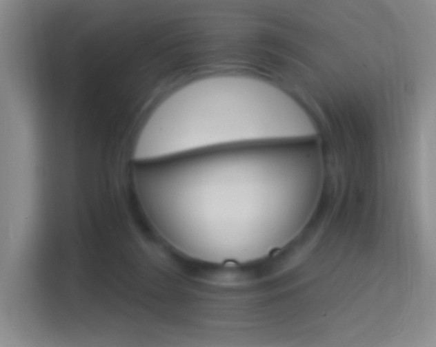 X0000114400212200910231116