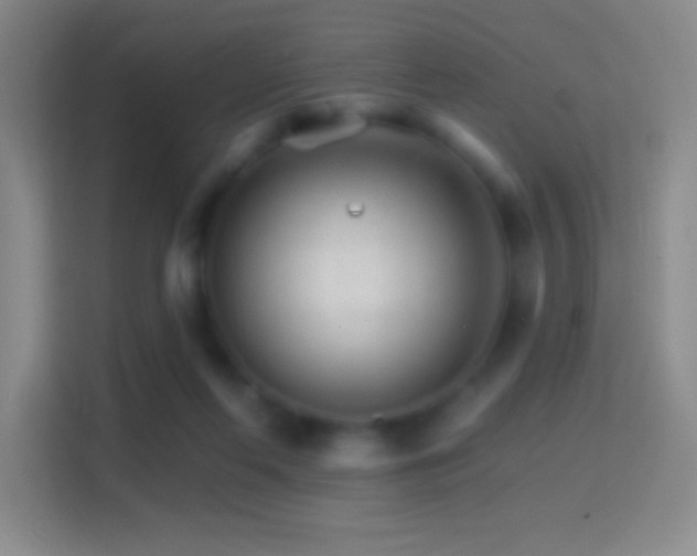 X0000114400214200910231116