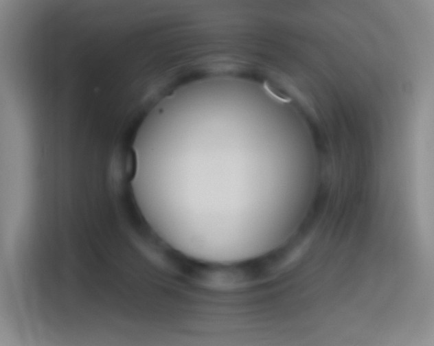 X0000114400215200910231116