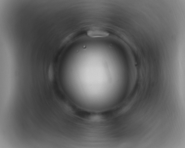 X0000114400216200910231116