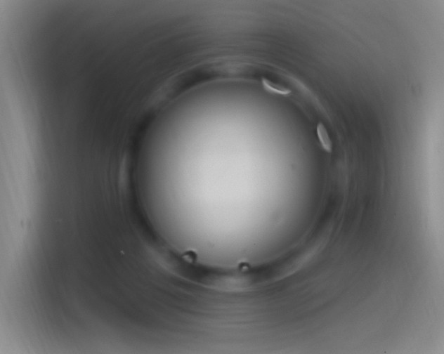 X0000114400217200910231116