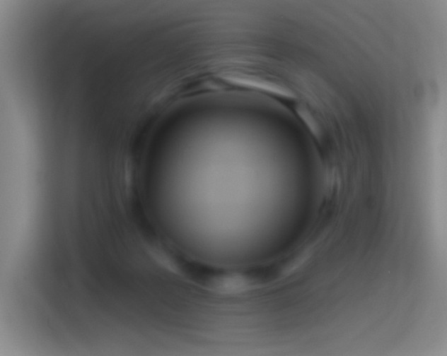 X0000114400219200910231116