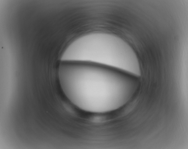 X0000114400220200910231116