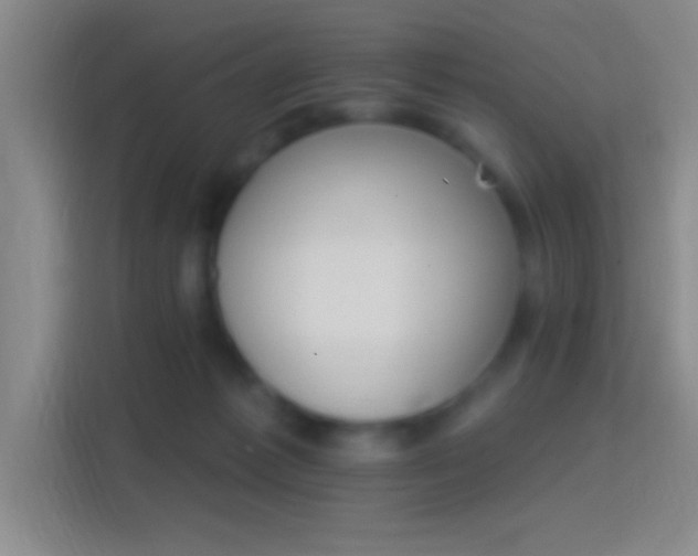 X0000114400221200910231116