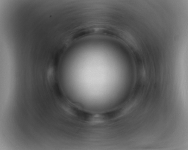 X0000114400222200910231116