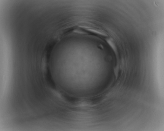 X0000114400223200910231116