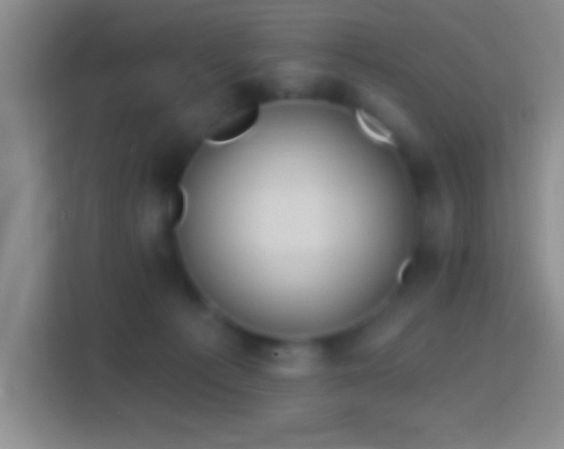 X0000114400225200910231116