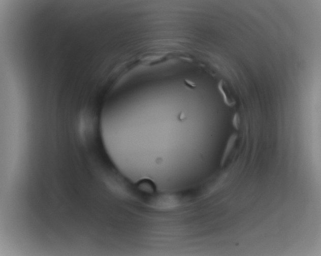 X0000114400227200910231116