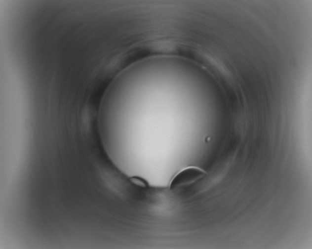 X0000114400229200910231116