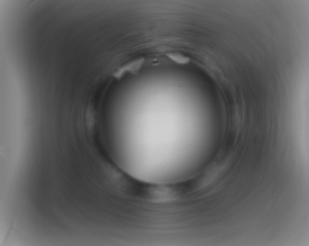 X0000114400230200910231116