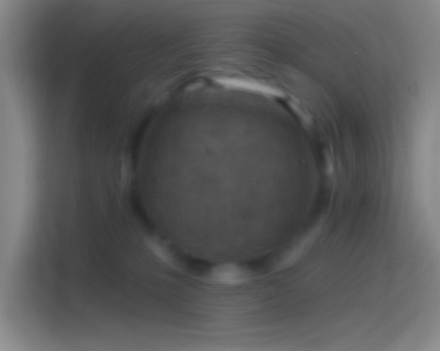 X0000114400231200910231116