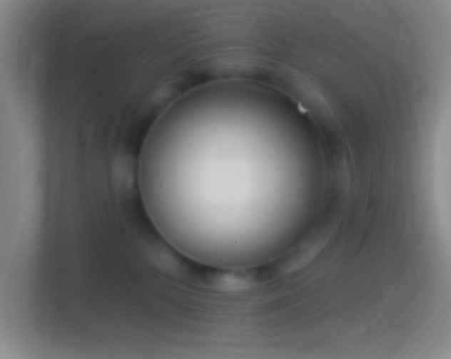 X0000114400232200910231116