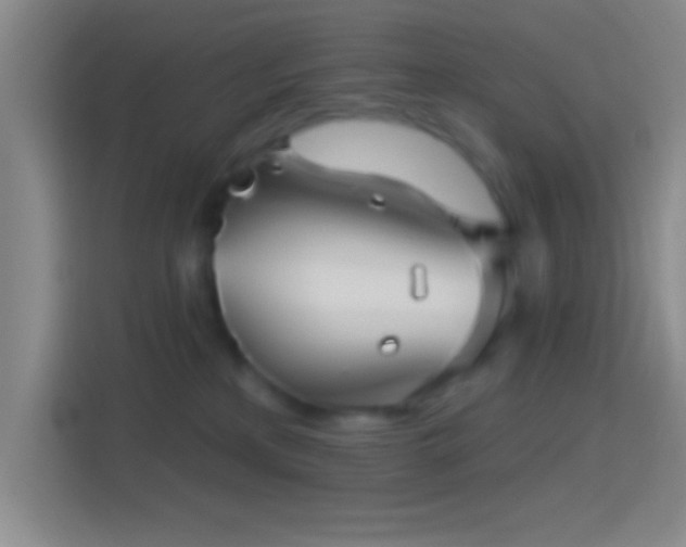 X0000114400233200910231116