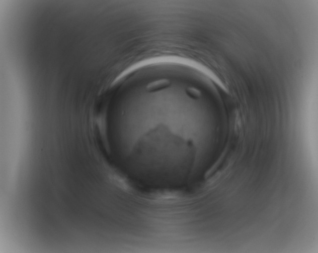 X0000114400235200910231116