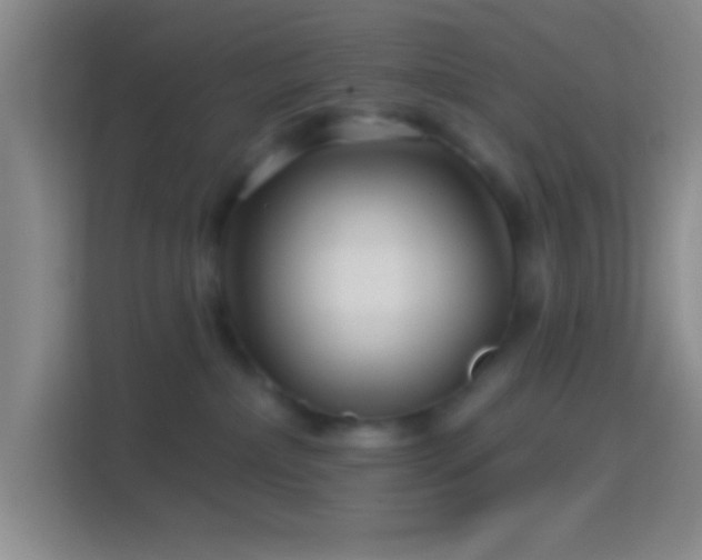 X0000114400236200910231116