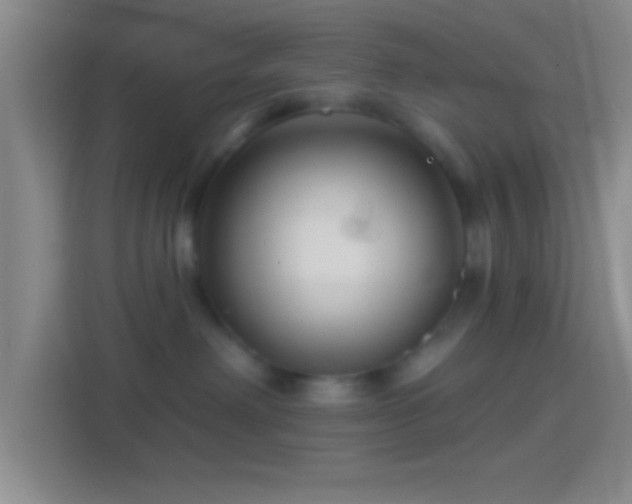 X0000114400238200910231116