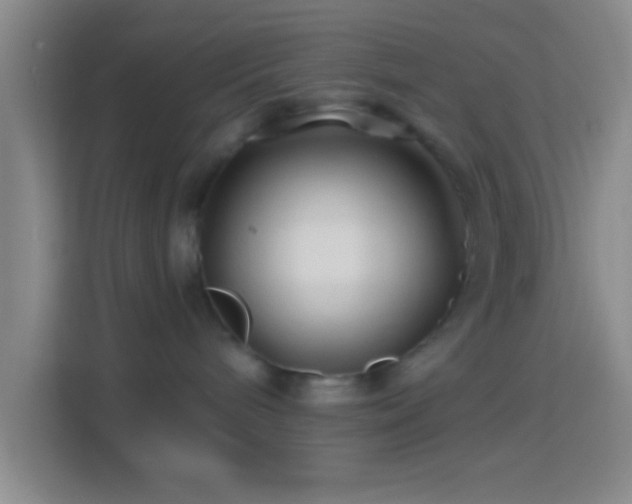 X0000114400240200910231116