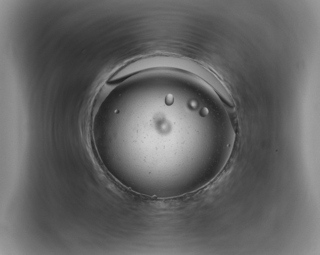 X0000114400241200910231115