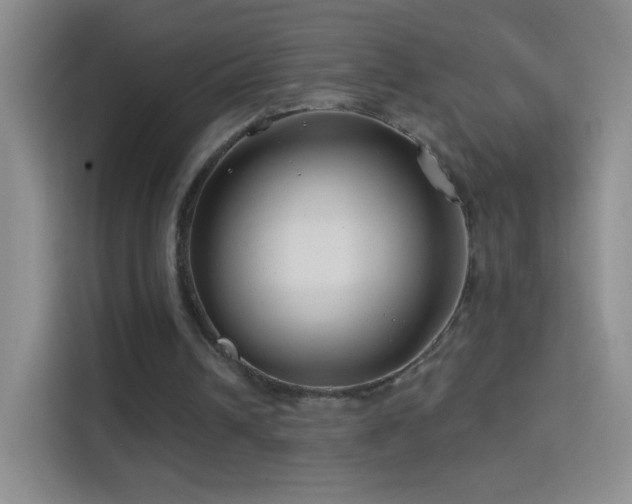 X0000114400242200910231115