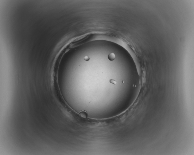 X0000114400243200910231115