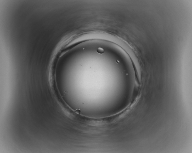 X0000114400245200910231115