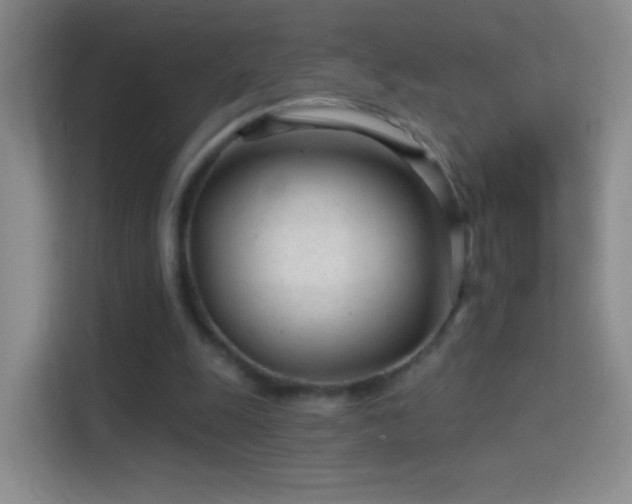 X0000114400247200910231115