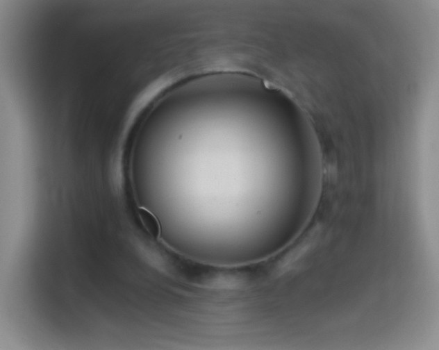 X0000114400248200910231115