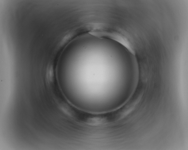 X0000114400251200910231115