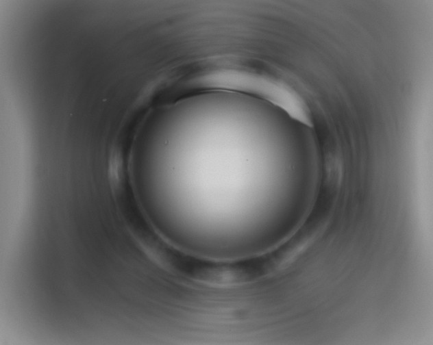 X0000114400254200910231115