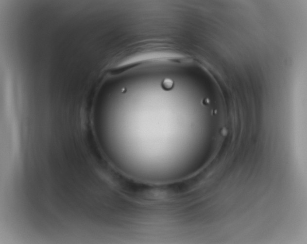 X0000114400255200910231115