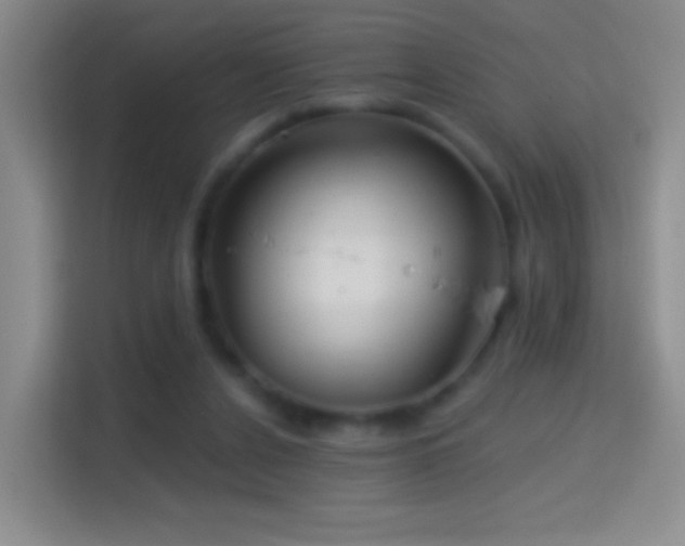 X0000114400256200910231115