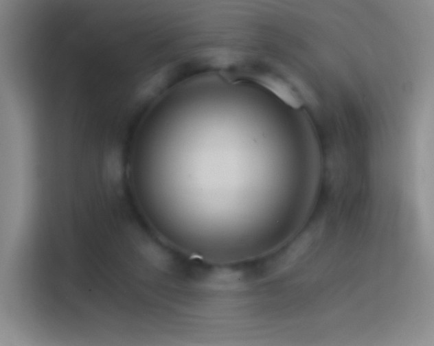 X0000114400257200910231115