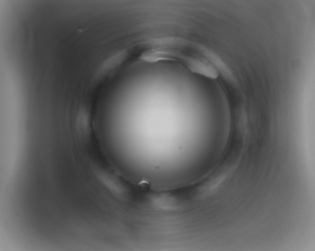 X0000114400258200910231115