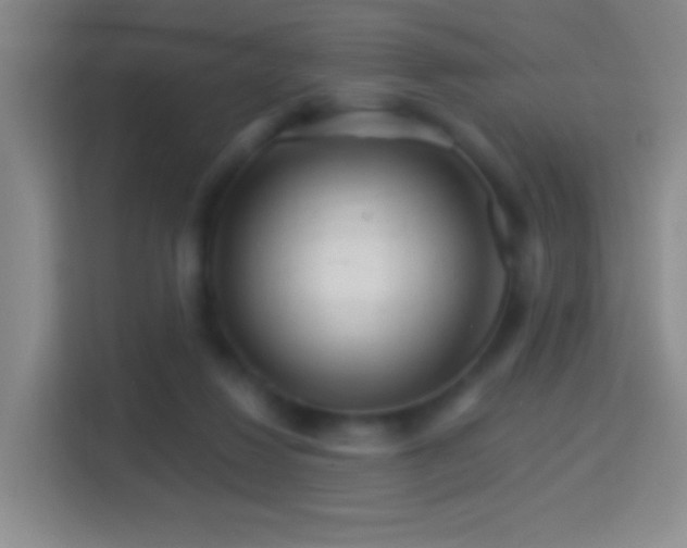 X0000114400260200910231115