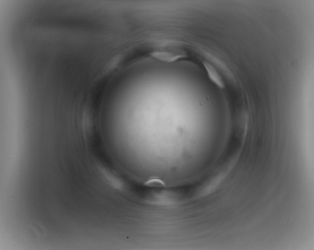 X0000114400268200910231115