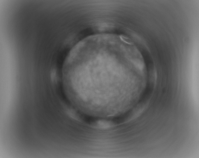 X0000114400272200910231115