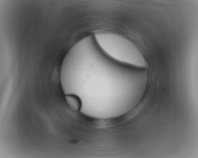 X0000114400273200910231115