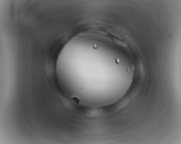 X0000114400274200910231115