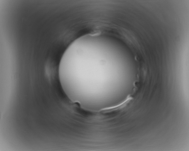 X0000114400276200910231115