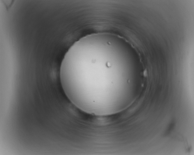 X0000114400277200910231115