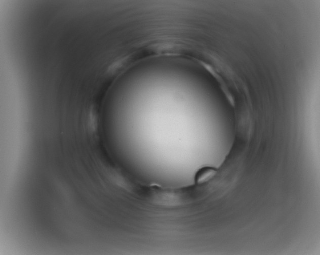 X0000114400282200910231115