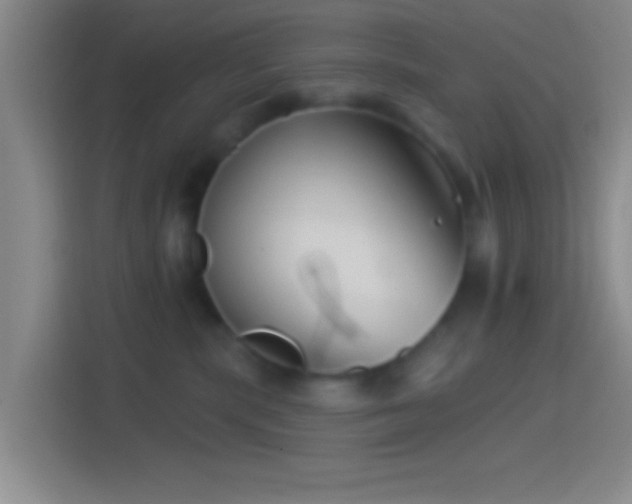 X0000114400283200910231115