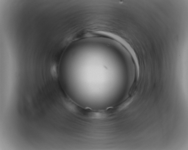 X0000114400286200910231115